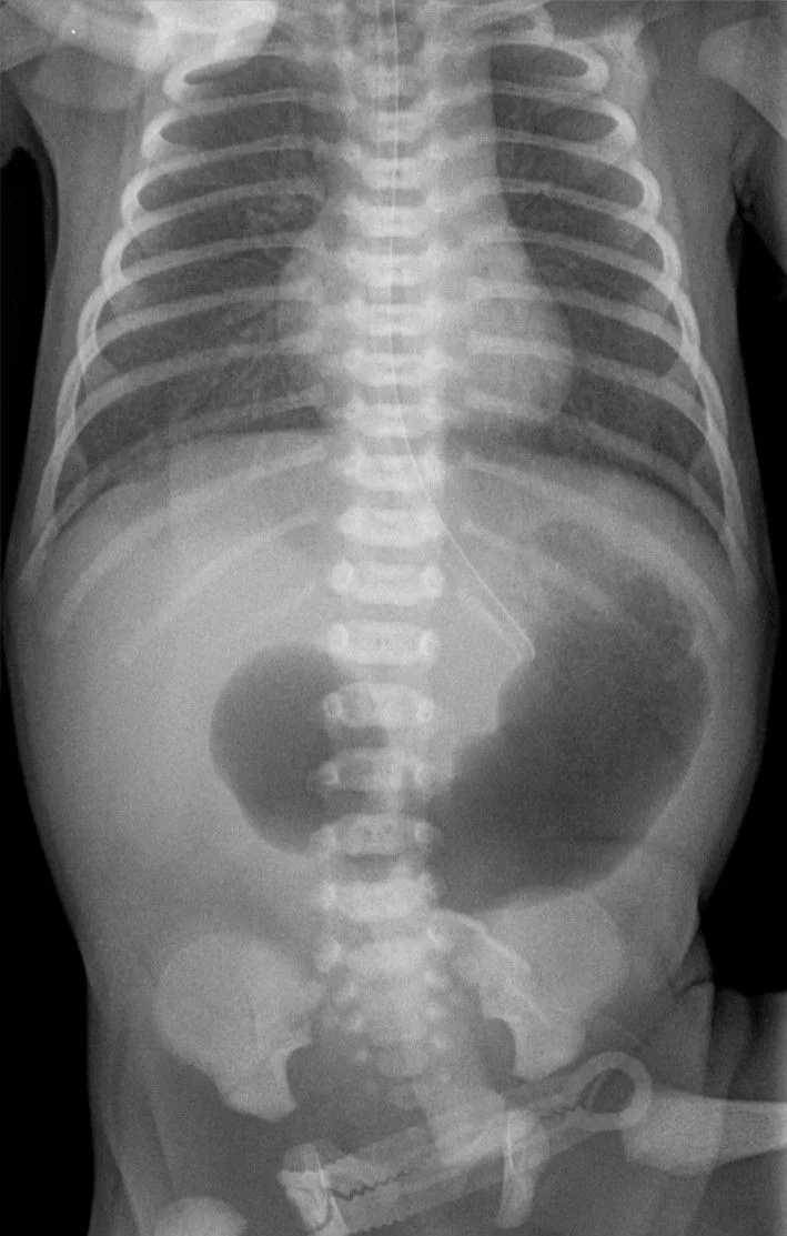 Paediatric radiograph for self-assessment